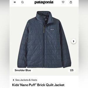 Patagonia Blue Nano Puff Jacket with Quilted Design